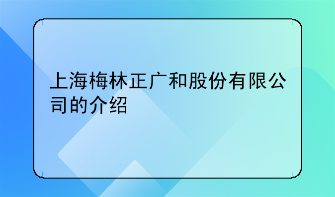 上海梅林正广和股份有限公司的介绍