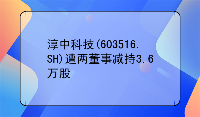 淳中科技(603516.SH)遭两董事减持3.6万股